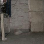 rdeco_old_house