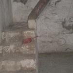 rdeco_old_house (4)