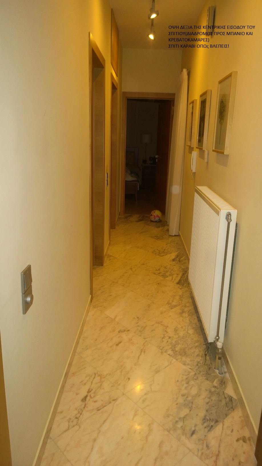 WP_20160129_20_36_30_Pro