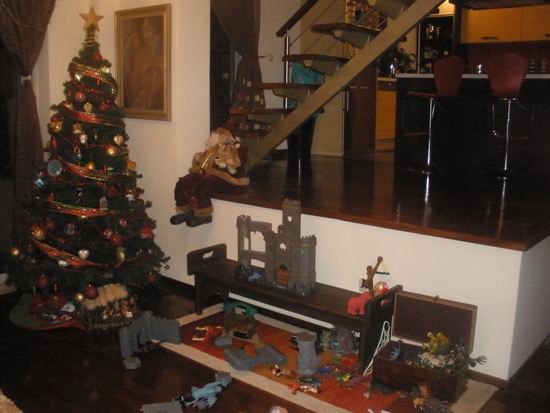 OLYMPUS DIGITAL CAMERA