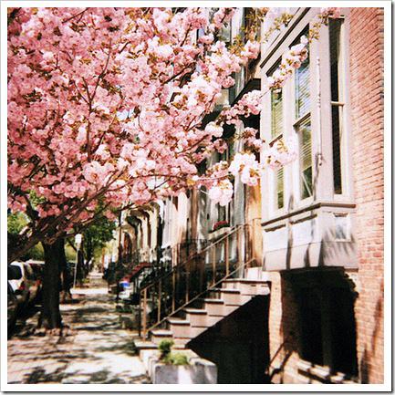 rdeco_ScreenCaptures298