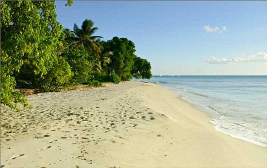 rdeco_fustichouse10 rdeco_fustichouse10