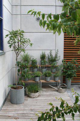 rdeco_plant bench