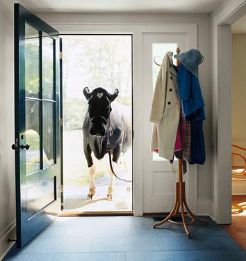 rdeco_hallway_cow