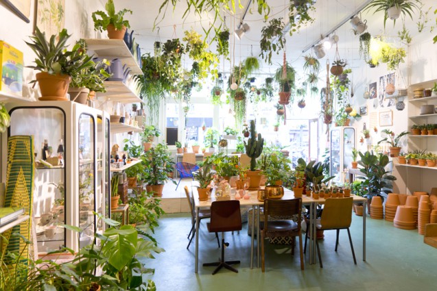 rdeco_Urban-Jungle-Bloggers-Wildernis-Amsterdam-6