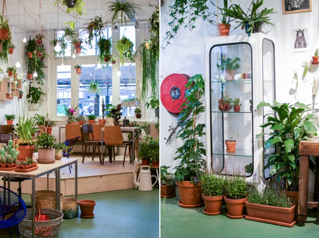 rdeco_Urban-Jungle-Bloggers-Wildernis-Amsterdam-61