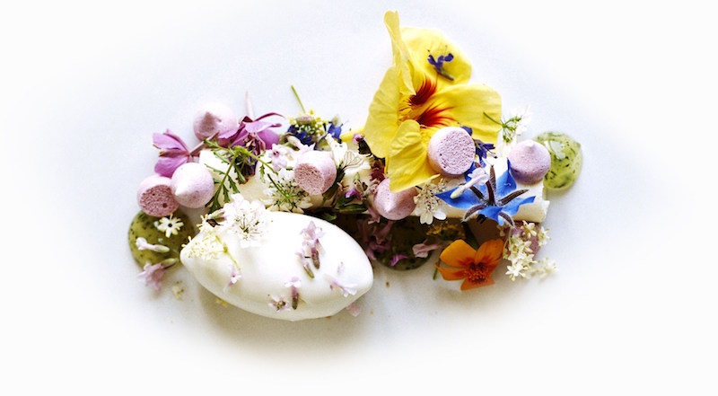 rdeco_rene redzepi dish noma