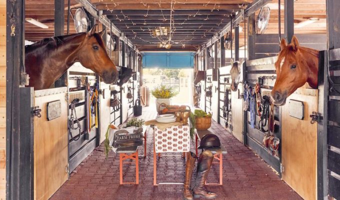 blue stallion farm florida stable