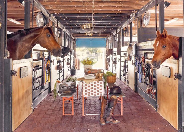 blue stallion farm florida stable