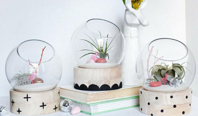 TERRARIUM DIY