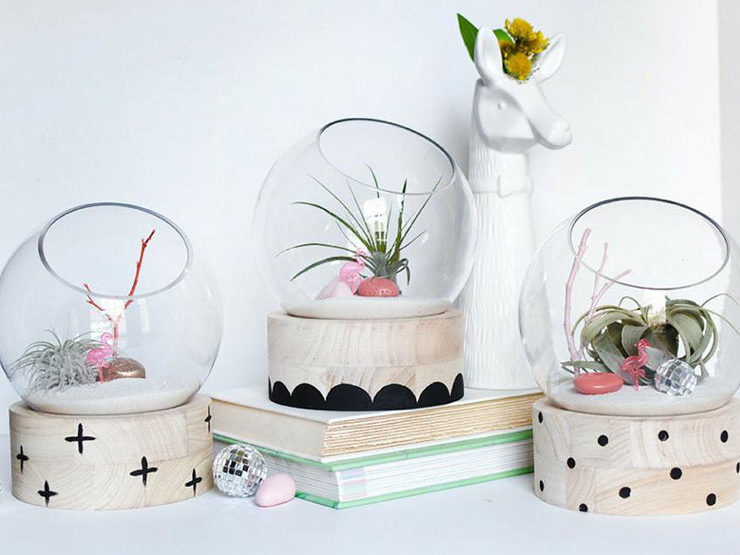 TERRARIUM DIY
